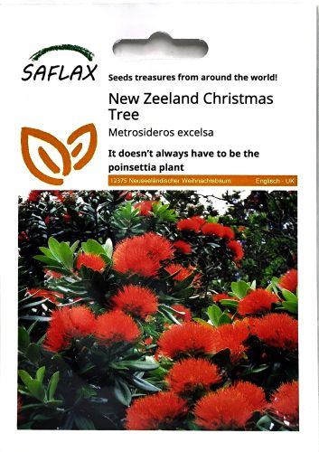 New Zealand Christmas Tree Seeds